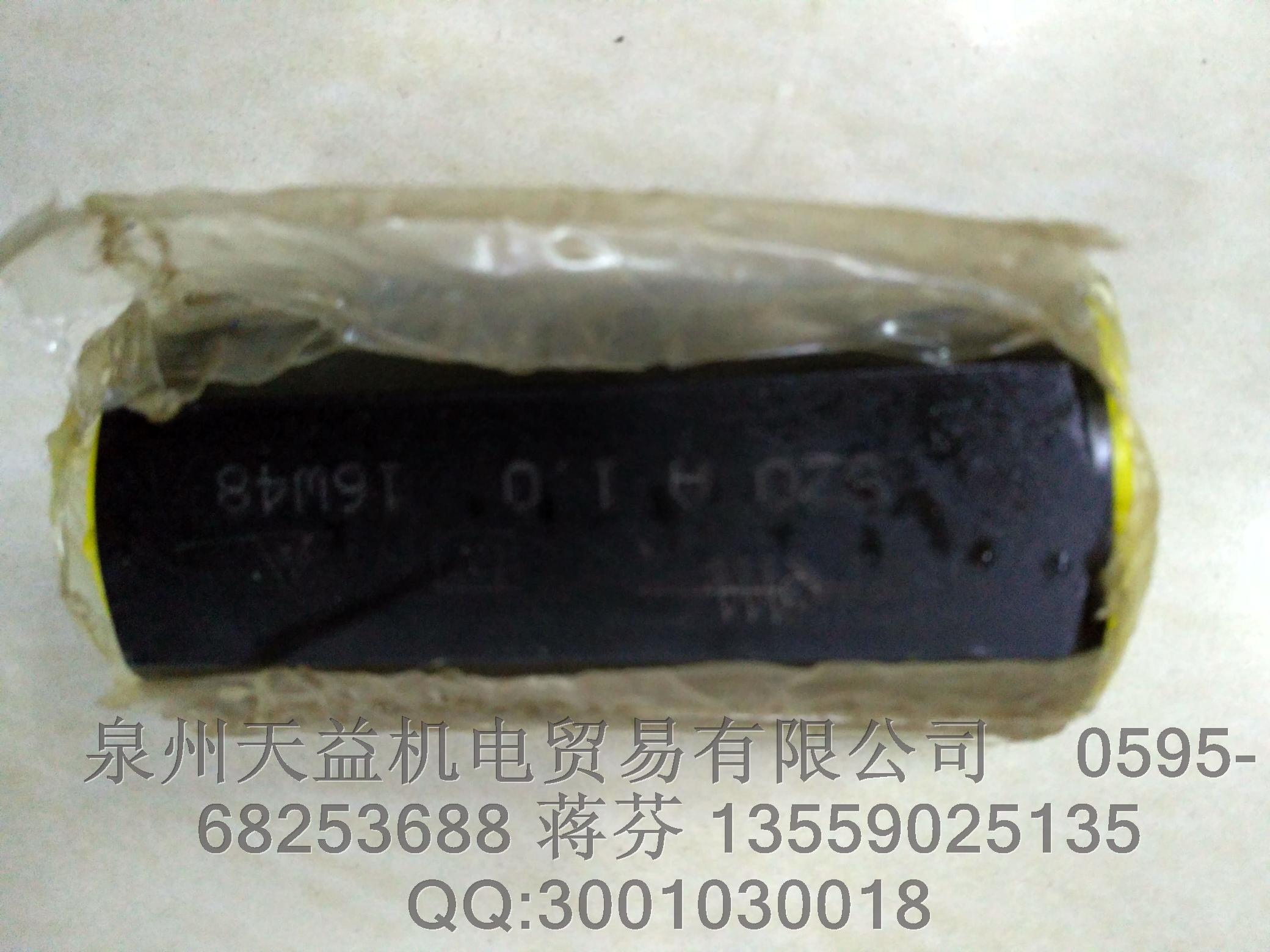 力士樂單向閥 SZ0 A 1.0.JPG